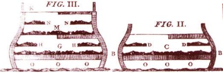 traite négrière, gravures de Brookes