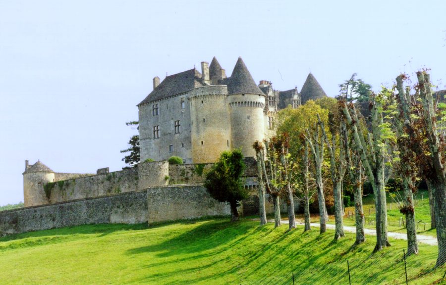 Le château depuis le chemin d'arrivée