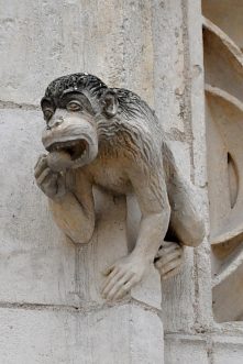 Le singe près de la fentre