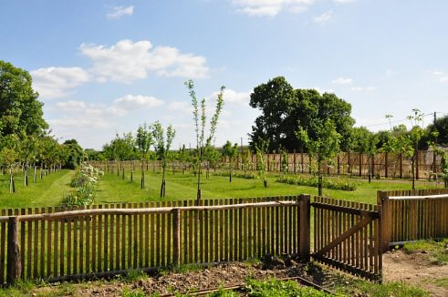 Le verger et le bouquetier. Avant la barrière : le potager  des moines.