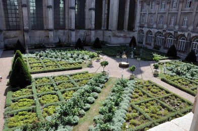 Le cloître vu du premier étage