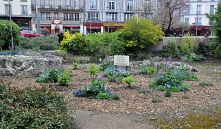 Le jardin et l'emplacement du bûcher (à l'endroit de l'écriteau).